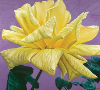Mellow Yellow
