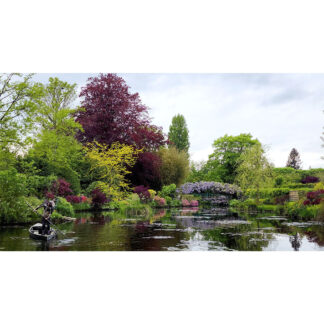 Monet's Garden II